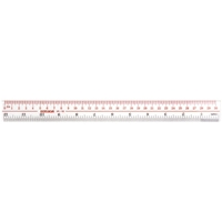 膠間尺 Plastic Ruler Plastic Ruler 12''